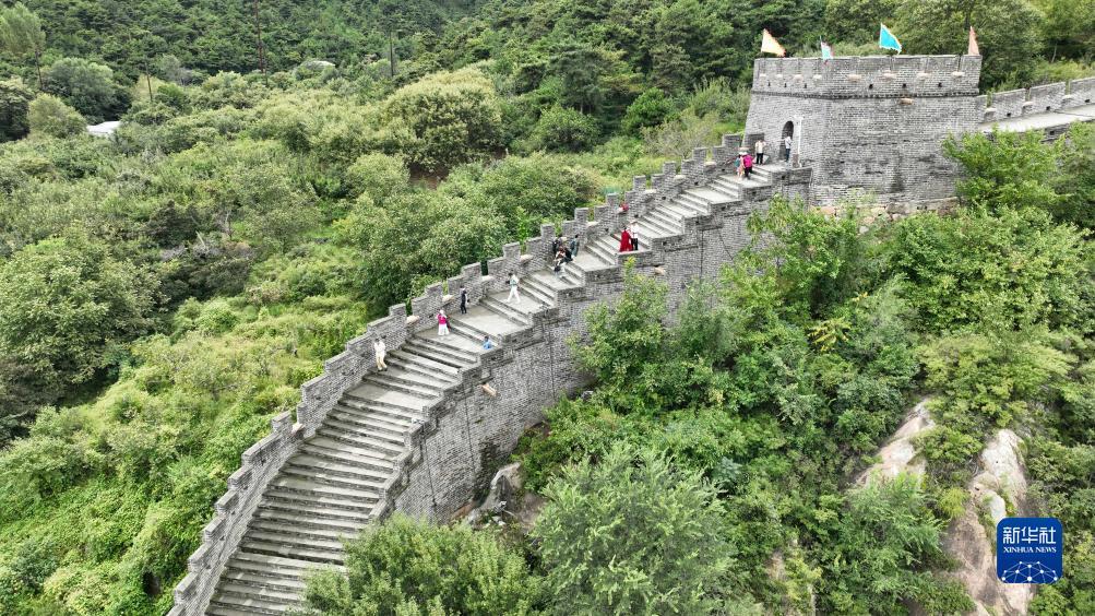 有捕鱼兑现金
